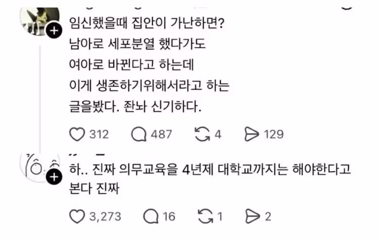 임신 중 경제적 어려움이 주는 현실적인 고민 - 개드립 인기글 이미지 1 - 밈카세