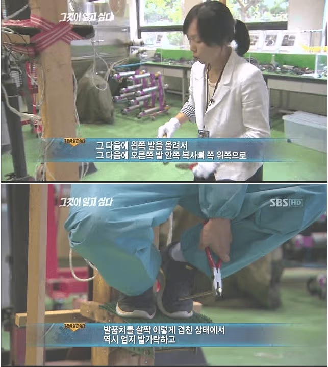 대한민국 자살사건중 가장 쇼킹한 사건 - 인벤 인기글 이미지 3 - 밈카세