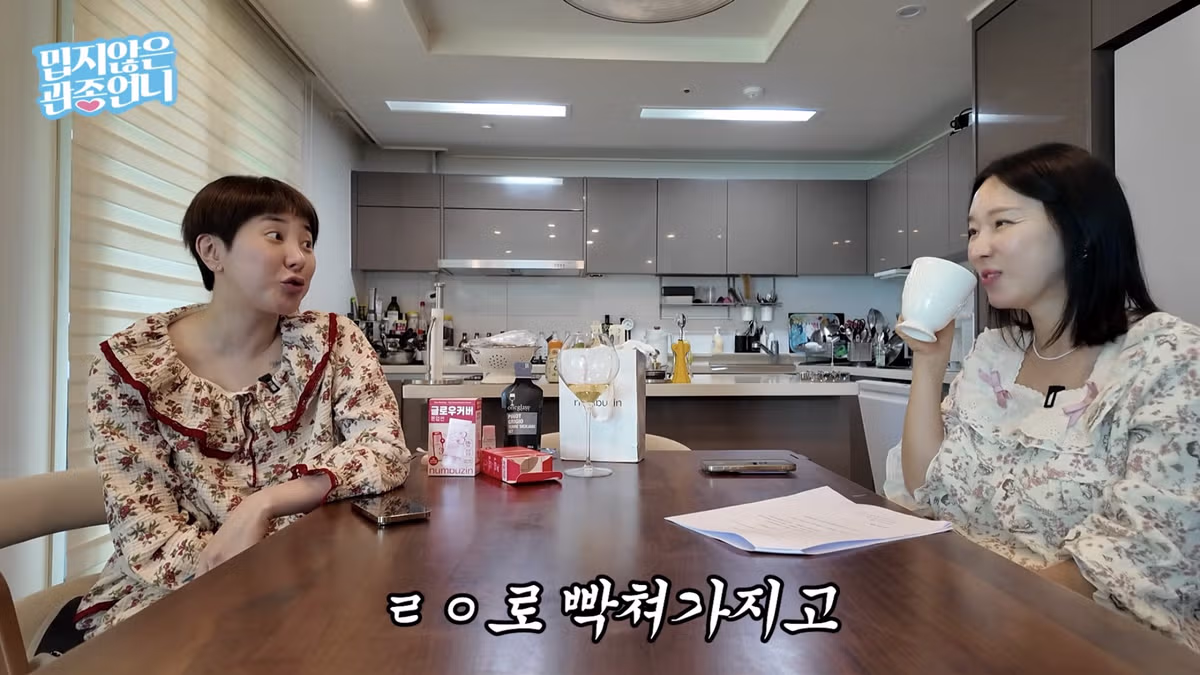 서인영이 이혼숙려캠프에 출연할 수 없는 이유 - 디시인사이드 인기글 이미지 5 - 밈카세