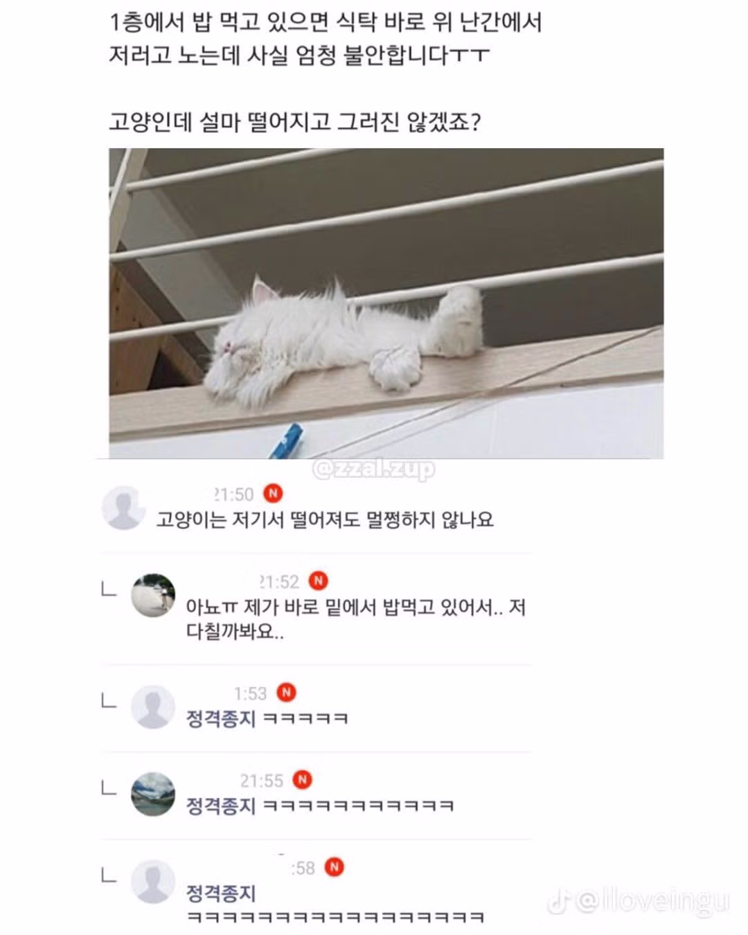 뜬금없이 웃긴 상황 모음 - 개드립 인기글 이미지 10 - 밈카세