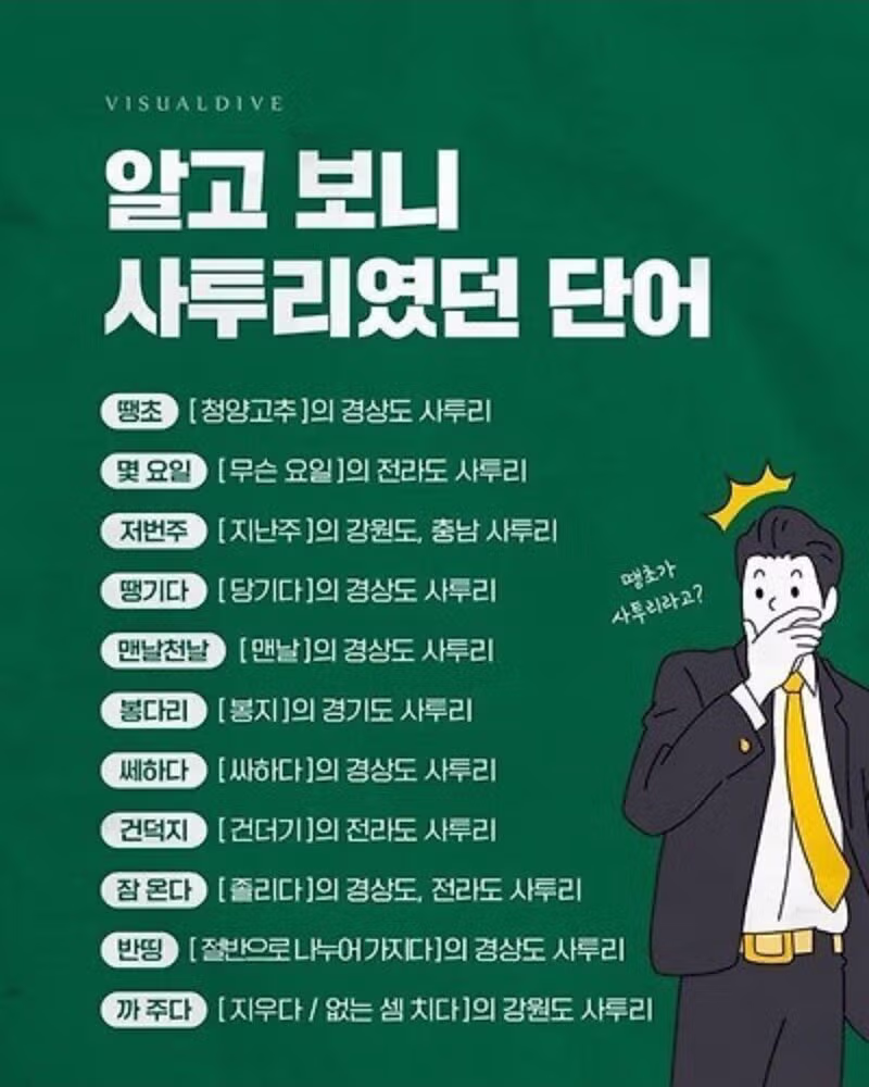 알고 보니 사투리였던 의외의 단어들 - SLR클럽 인기글 이미지 1 - 밈카세