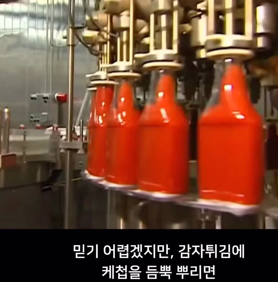 감자튀김에 케첩을 꼭 뿌려야 하는 이유 - 인벤 인기글 이미지 1 - 밈카세
