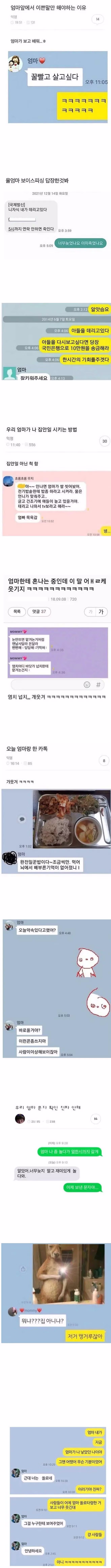 엄마 앞에서 예쁜 말만 써야 하는 이유 - 개드립 인기글 이미지 1 - 밈카세