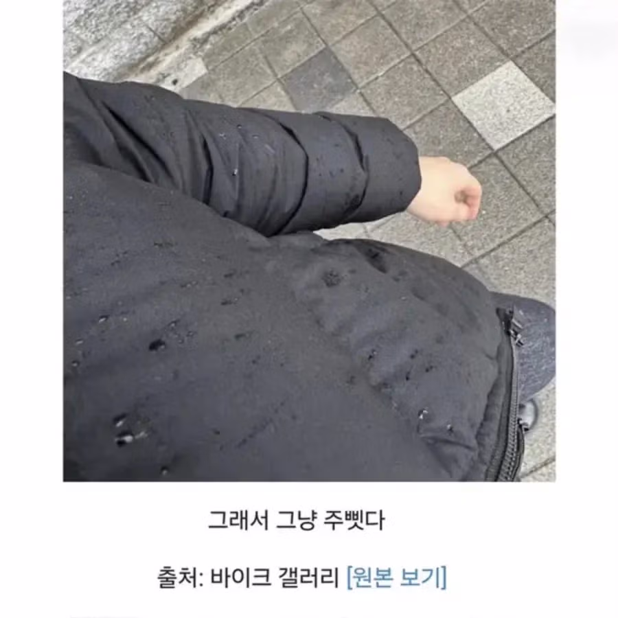 할망구 비오는데 우산없이가노ㅋㅋ...jpg - 더쿠 인기글 이미지 2 - 밈카세