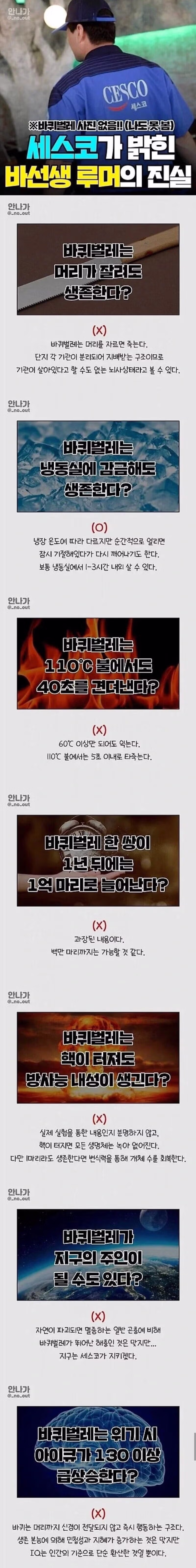 세스코가 직접 알려주는 바퀴벌레 루머의 진실 - 인벤 인기글 이미지 1 - 밈카세