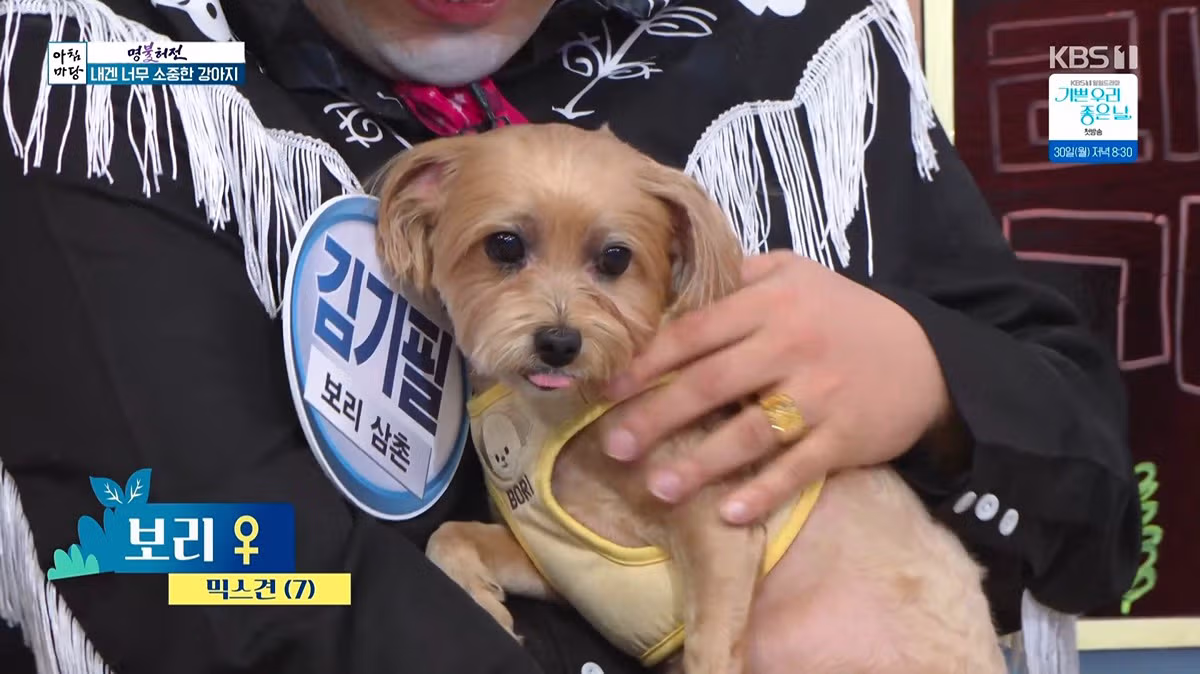 실시간 아침마당 초호화 역대급 개스트 등장으로 논란ㄷㄷㄷ 4