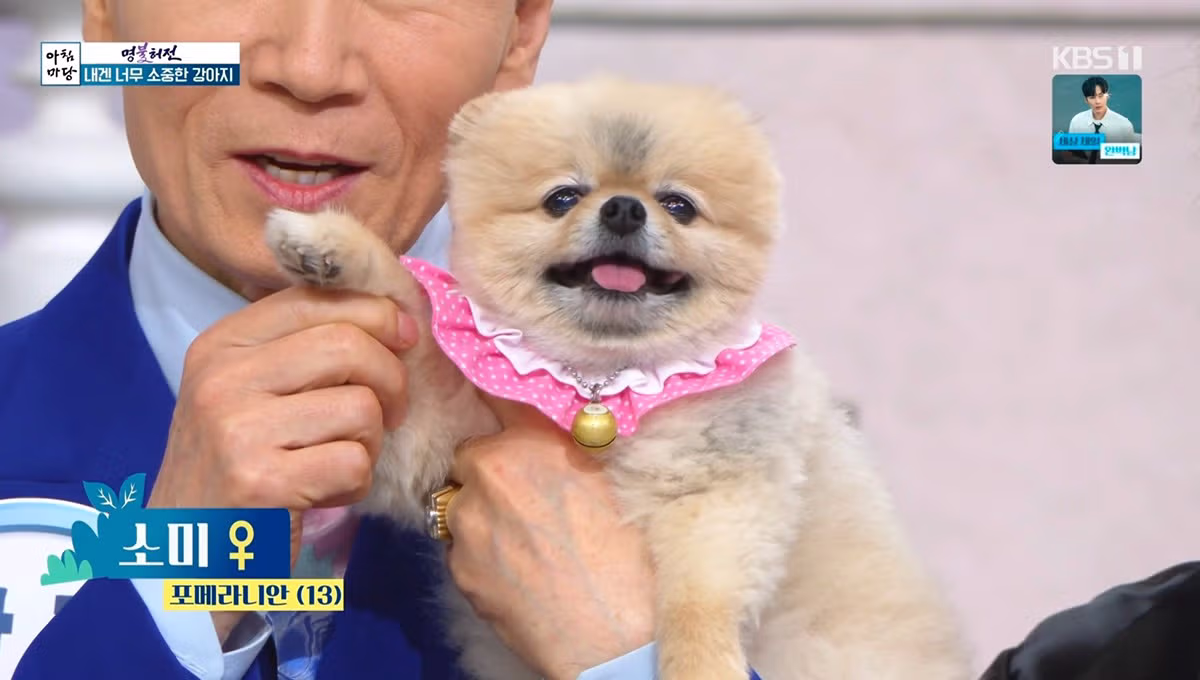 실시간 아침마당 초호화 역대급 개스트 등장으로 논란ㄷㄷㄷ 2