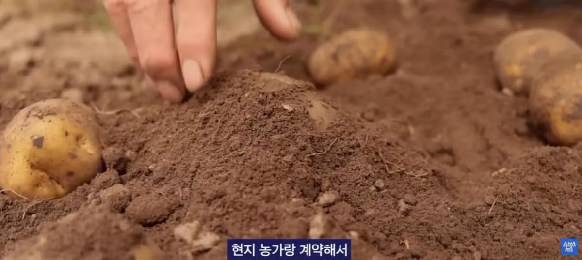 중국에서 크게 유행 중인 한국 과자 - 개드립 인기글 이미지 5 - 밈카세