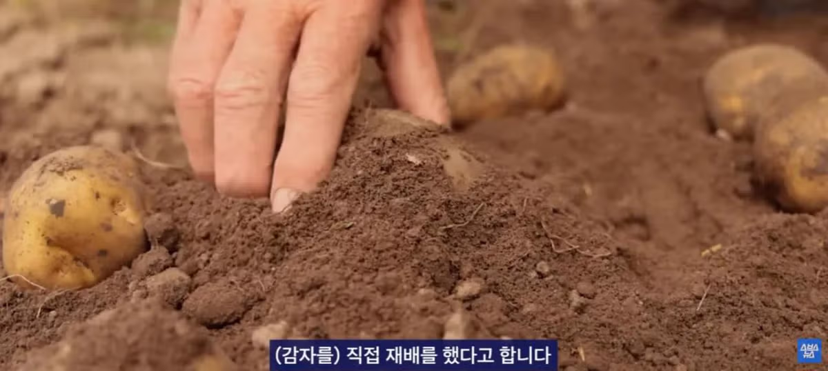 중국에서 크게 유행 중인 한국 과자 - 개드립 인기글 이미지 6 - 밈카세