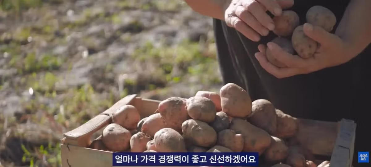 중국에서 크게 유행 중인 한국 과자 - 개드립 인기글 이미지 8 - 밈카세