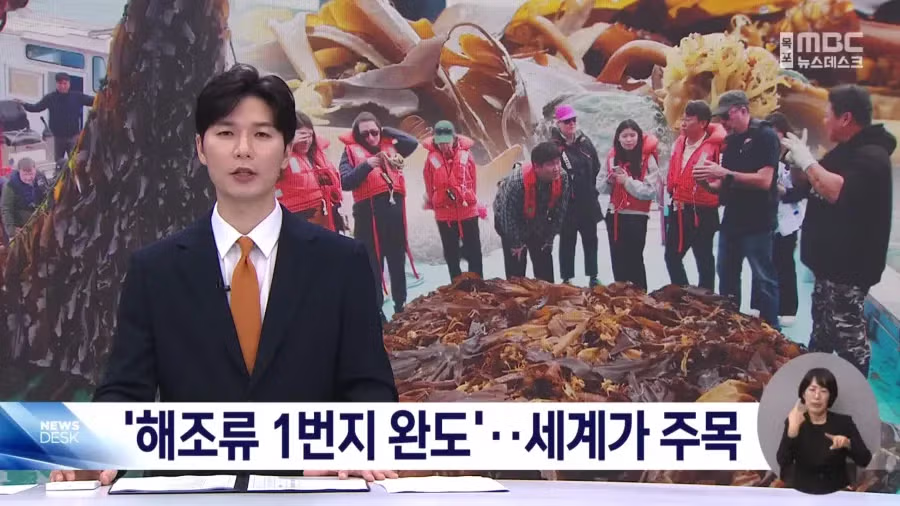 전 세계에서 주목하는 한국의 섬 - 개드립 인기글 이미지 1 - 밈카세