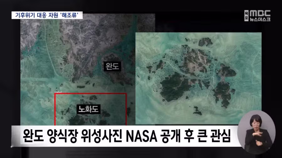 전 세계에서 주목하는 한국의 섬 - 개드립 인기글 이미지 5 - 밈카세