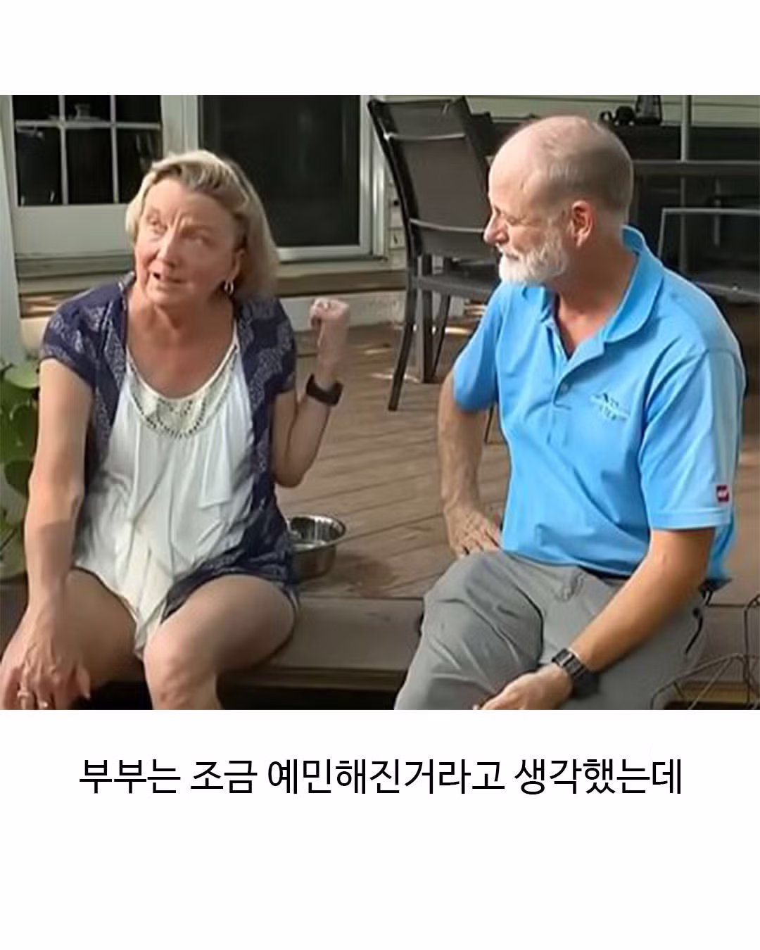 미용실 다녀와서 표독해진 골든리트리버 - 웃대 인기글 이미지 4 - 밈카세