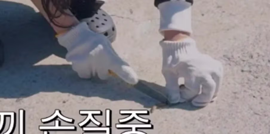 원이 거제 영상 속 숨겨진 명장면 - 인벤 인기글 이미지 2 - 밈카세