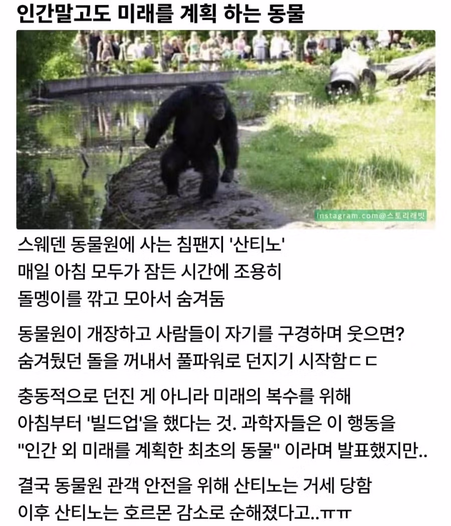미래를 계획했지만 실패한 동물의 최후 - 인벤 인기글 이미지 1 - 밈카세