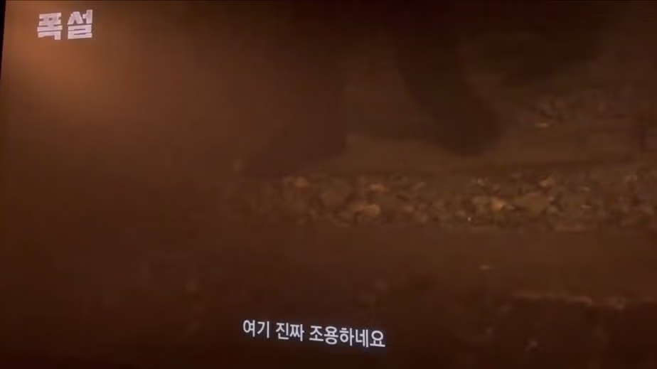올해 흥행 타율 매우 높은 쇼박스의 성적 - 인벤 인기글 이미지 2 - 밈카세