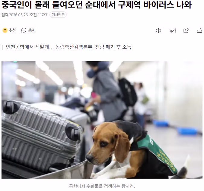 중국산 밀수 순대에서 구제역 바이러스 검출 - 디시인사이드 인기글 이미지 1 - 밈카세