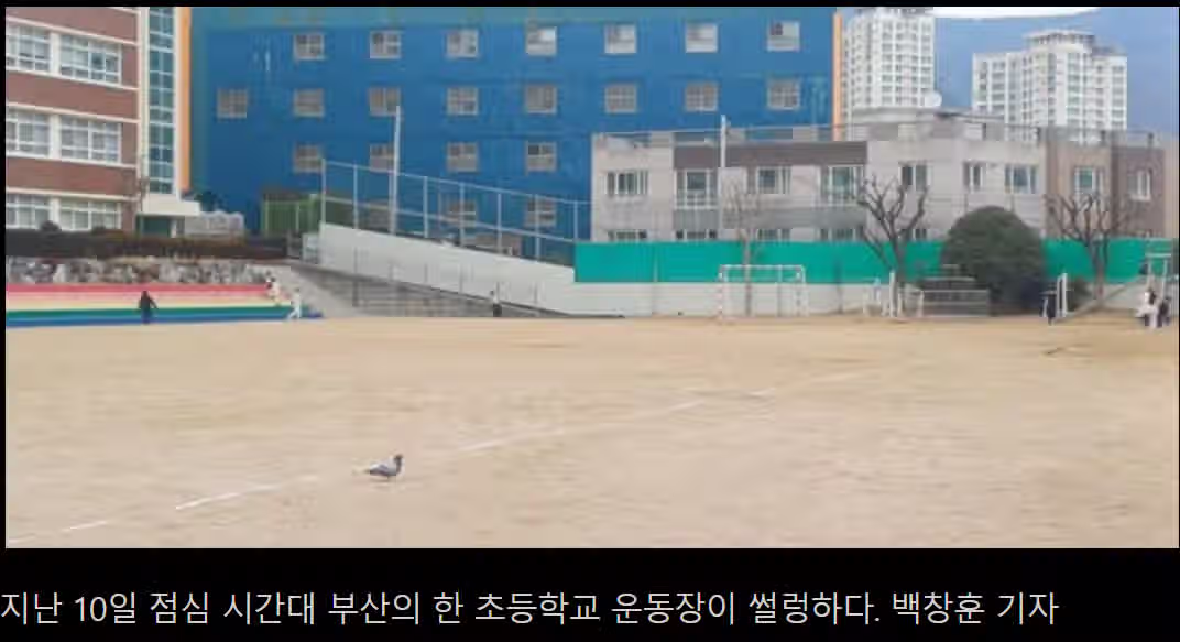 수학여행에 이어 축구금지 늘어나는 초등학교…왜? 2