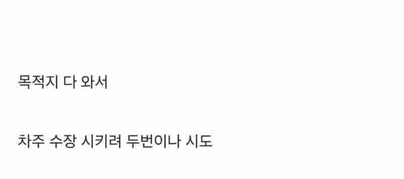 테슬라 FSD 근황 3