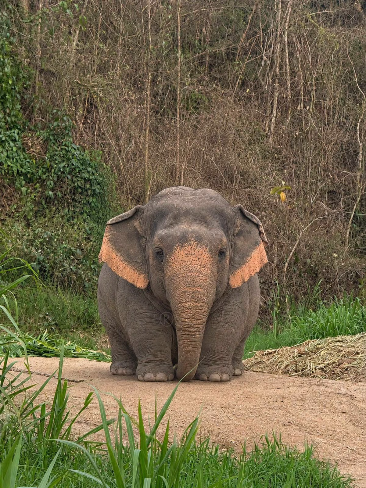 뚱끼리🐘 - 뽐뿌 인기글 이미지 3 - 밈카세