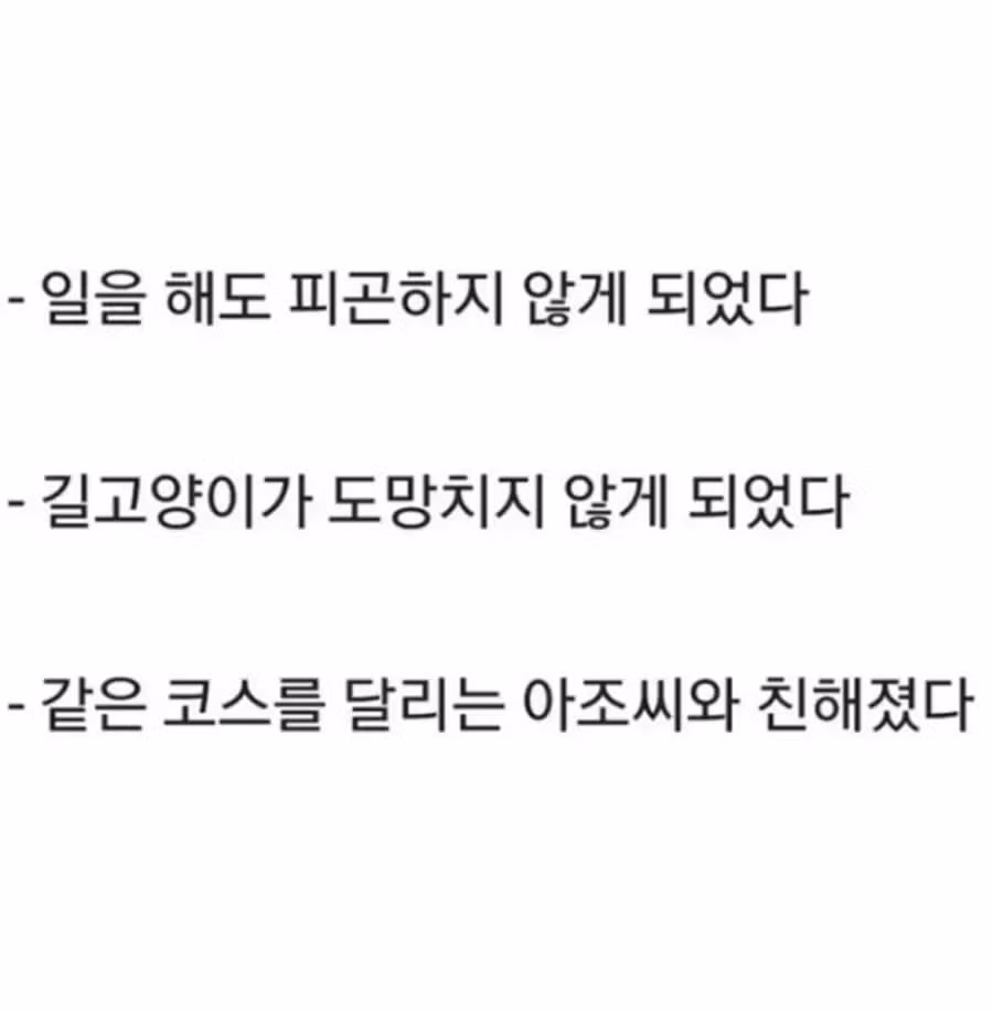 일본인이 2년간 매일 조깅한 후기 - 뽐뿌 인기글 이미지 2 - 밈카세