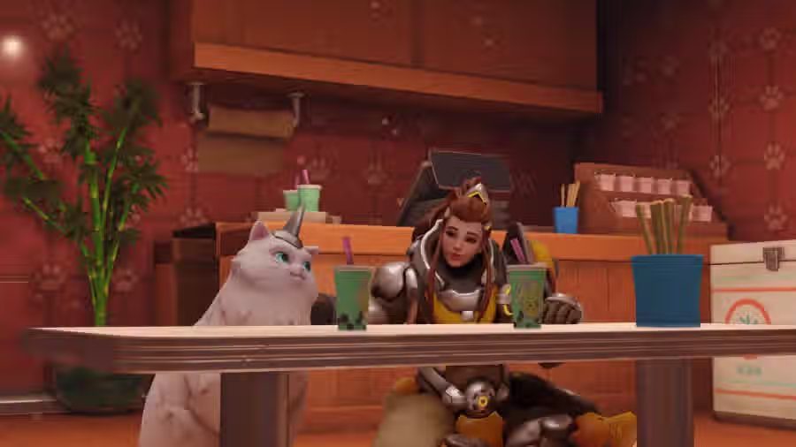 오버워치 고양이 신캐 논란 4