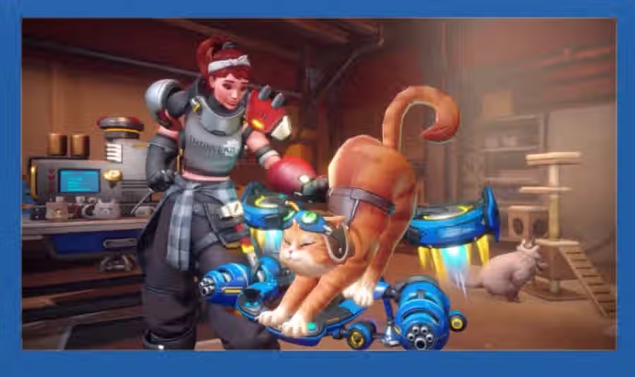 오버워치 고양이 신캐 논란 3