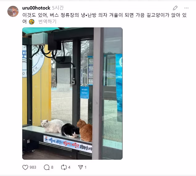 일본인들이 부러워하는 한국의 편리한 시설들 - 웃대 인기글 이미지 2 - 밈카세