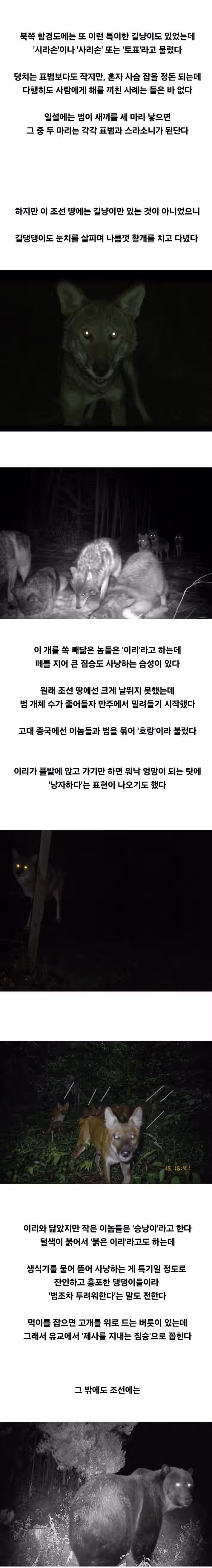 조상님들이 밤에 외출을 꺼린 이유 4