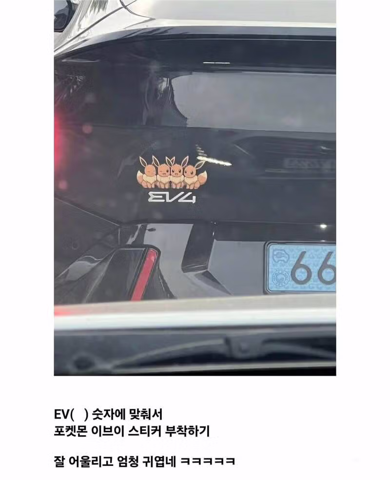 센스 있는 전기차 차주들 사이에서 유행하는 아이템 - 더쿠 인기글 이미지 2 - 밈카세