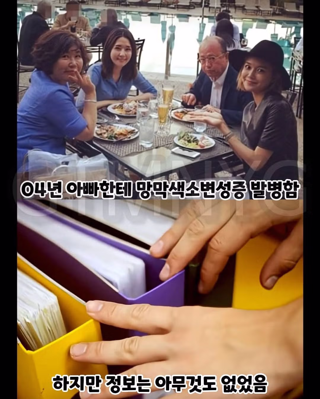 곧 재단 회장이 되는 여자연예인 - 보배드림 인기글 이미지 2 - 밈카세