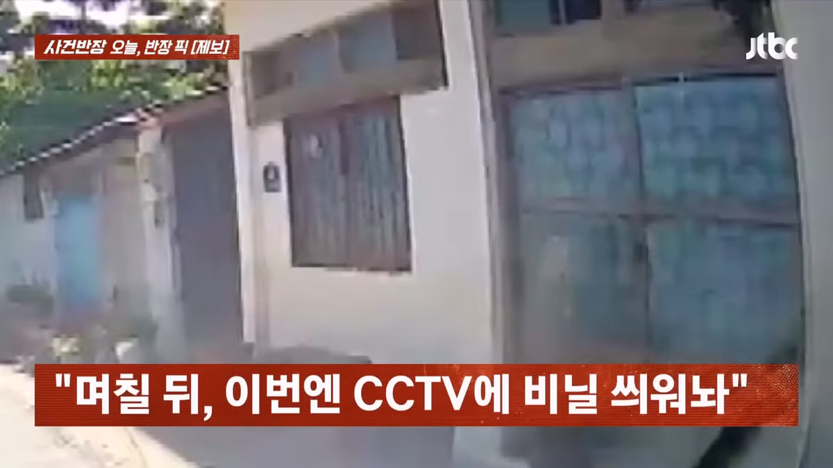 주민의 집 부착물을 무단으로 제거한 OTT 촬영팀 - 인벤 인기글 이미지 3 - 밈카세