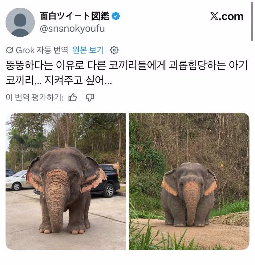 뚱끼리🐘 - 뽐뿌 인기글 이미지 2 - 밈카세