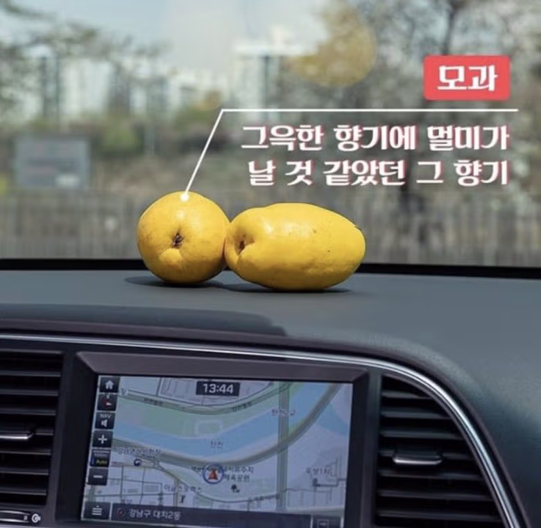 어른스러운 디자인으로 차꾸하기 2