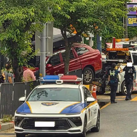 인도 여행 시 주의해야 할 안전 문제 - 보배드림 인기글 이미지 2 - 밈카세