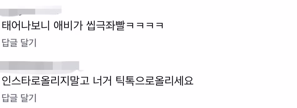 민주당 후보 아버지 돕겠다는 글에 달린 댓글 반응 - 더쿠 인기글 이미지 2 - 밈카세
