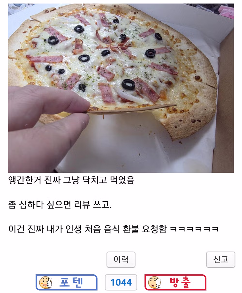 15900원 피자의 놀라운 퀄리티 - 개드립 인기글 이미지 3 - 밈카세
