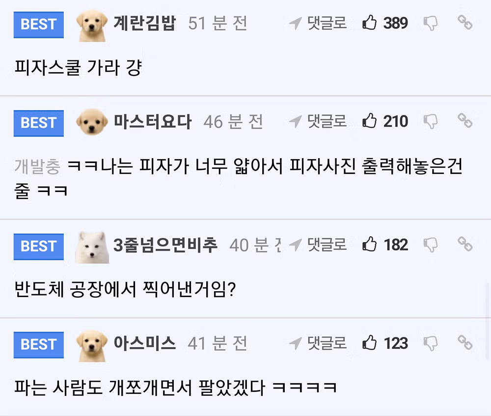 15900원 피자의 놀라운 퀄리티 - 개드립 인기글 이미지 4 - 밈카세