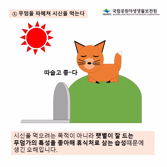 여우에 대해 잘못 알려진 오해와 진실 - 웃대 인기글 이미지 4 - 밈카세