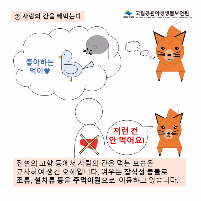 여우에 대해 잘못 알려진 오해와 진실 - 웃대 인기글 이미지 5 - 밈카세