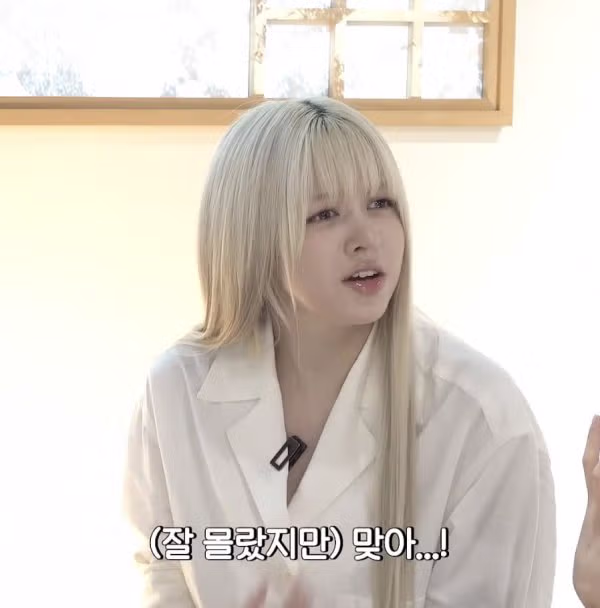 요즘 육아 이야기를 나누는 여자 아이돌들 - 더쿠 인기글 이미지 6 - 밈카세