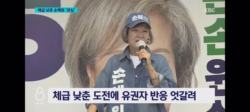 목포 시의원에 출마한 손혜원 전 의원 - 클리앙 인기글 이미지 7 - 밈카세