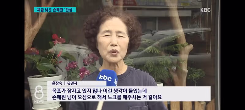 목포 시의원에 출마한 손혜원 전 의원 - 클리앙 인기글 이미지 8 - 밈카세
