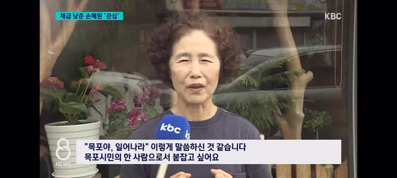목포 시의원에 출마한 손혜원 전 의원 - 클리앙 인기글 이미지 9 - 밈카세
