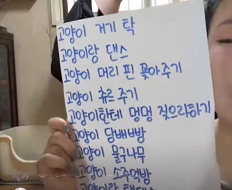 유튜버 샤머호 세월호 유가족 비난 및 동물학대 논란 - 디시인사이드 인기글 이미지 2 - 밈카세