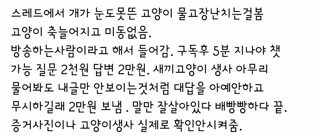 유튜버 샤머호 세월호 유가족 비난 및 동물학대 논란 - 디시인사이드 인기글 이미지 3 - 밈카세