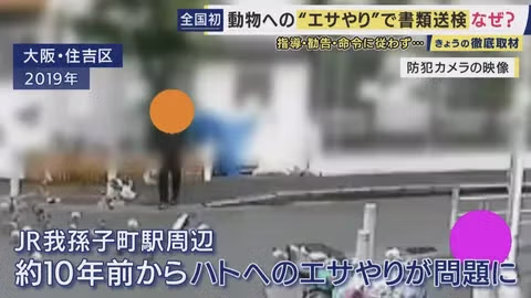 일본에서 동물에게 먹이 주는 행위가 범죄로 송치된 사례 - 인벤 인기글 이미지 3 - 밈카세