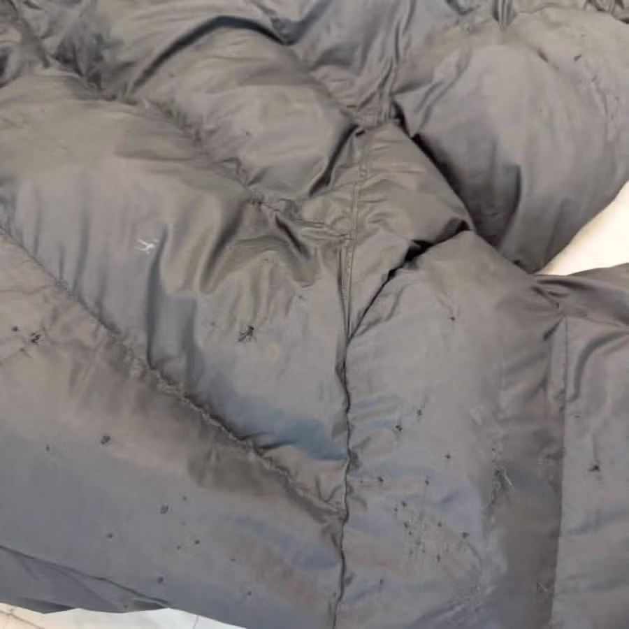 학폭 문제로 담임 교사에게 항의한 학부모가 들은 황당한 답변 - 디시인사이드 인기글 이미지 3 - 밈카세