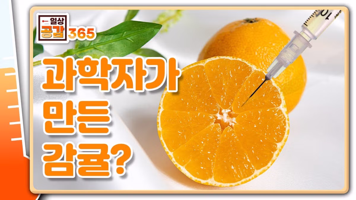 대한민국을 창조한 진정한 신 - 더쿠 인기글 이미지 5 - 밈카세