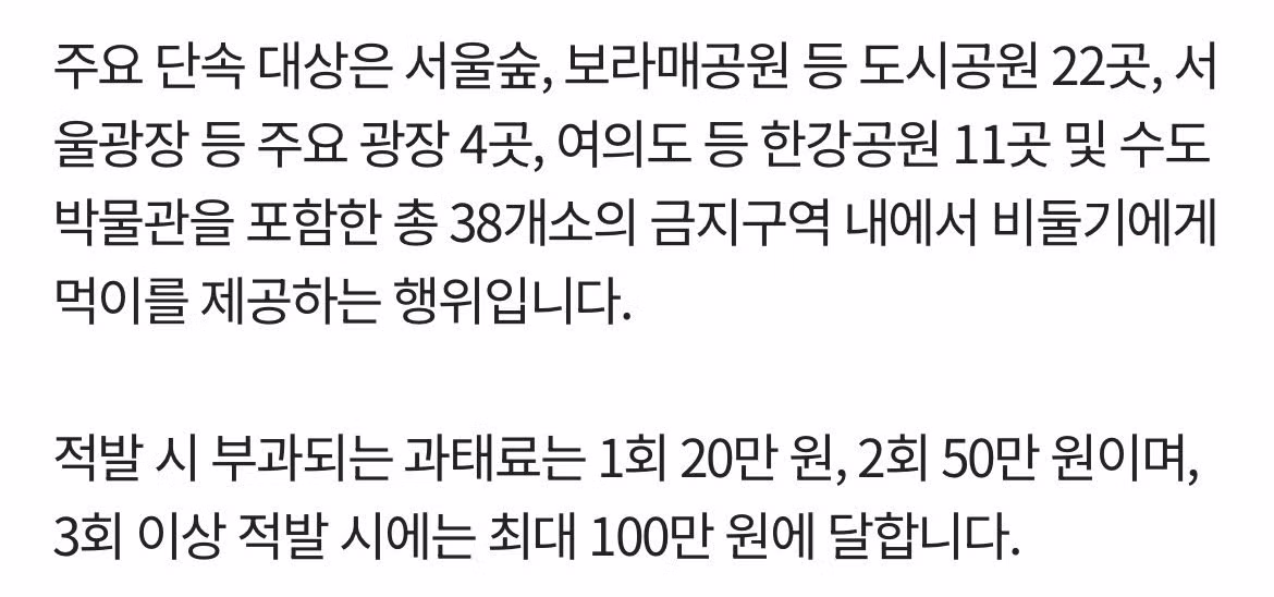 비둘기 먹이 주던 사람들의 최근 근황 - 보배드림 인기글 이미지 2 - 밈카세